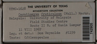 Image Associated With the Occurence